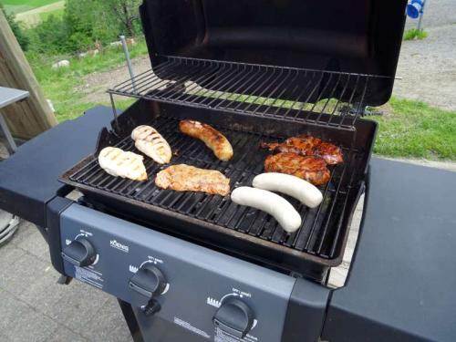 20180617 Familienbrätlen 019