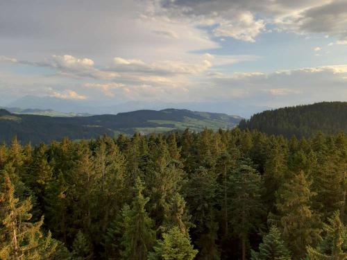 20190712 Chuderhüsihoeck 003