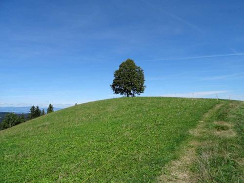 2022 09 18 Bettagswanderung 021