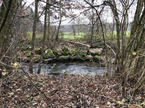 2022 12 03 Distanzmarsch 020