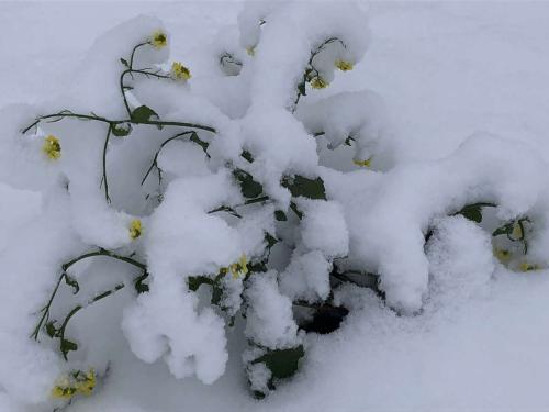 2023-12-02-distanzmarsch-013-1