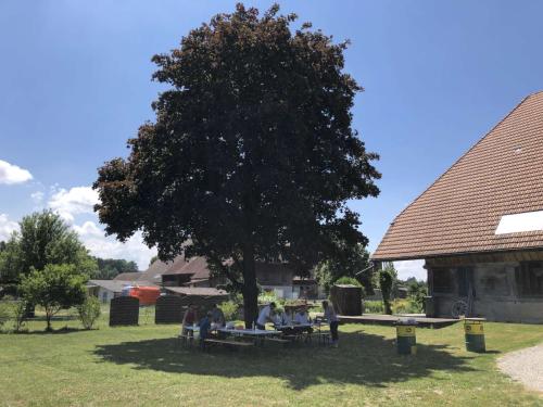 2023 06 11 Famielienbraetlen 010