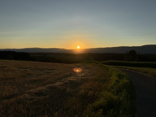 Fahren in der Nacht 2024